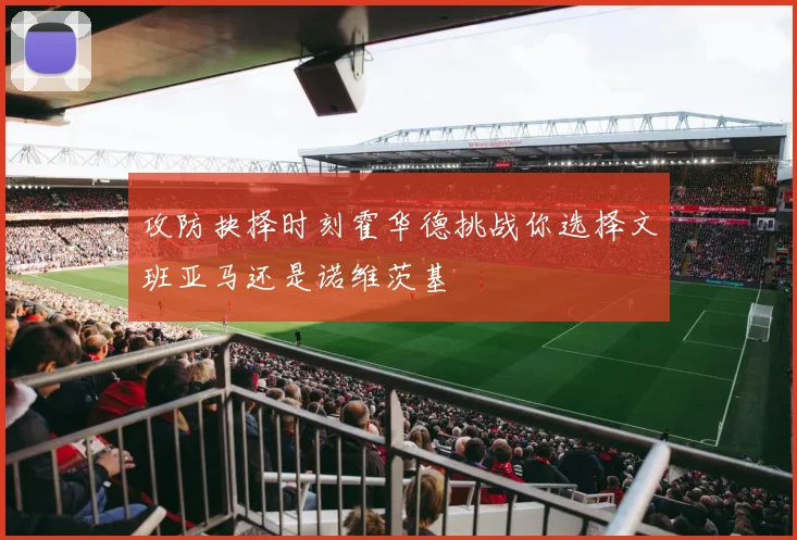攻防抉择时刻霍华德挑战你选择文班亚马还是诺维茨基