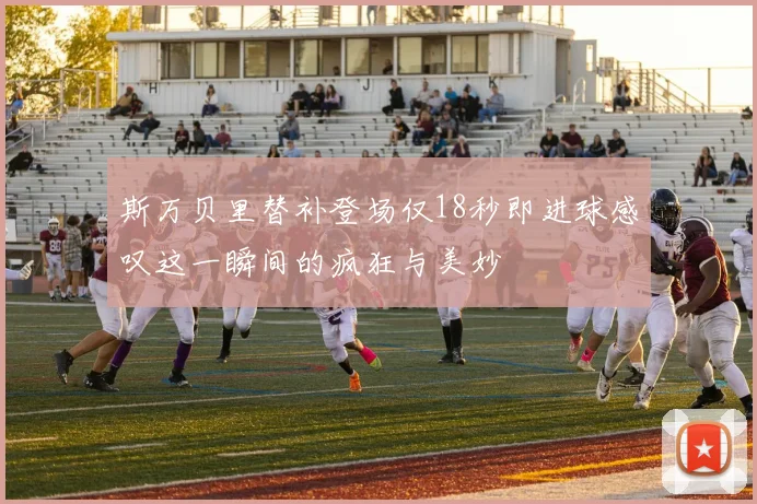 斯万贝里替补登场仅18秒即进球感叹这一瞬间的疯狂与美妙